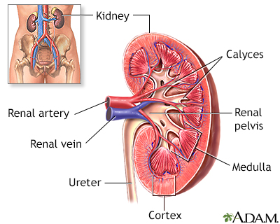 In Depth Reports Trihealth Discover The Power Of Unity Kidney Stones Trihealth Discover The Power Of Unity